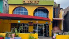Cheester (CHSTR) Palapas